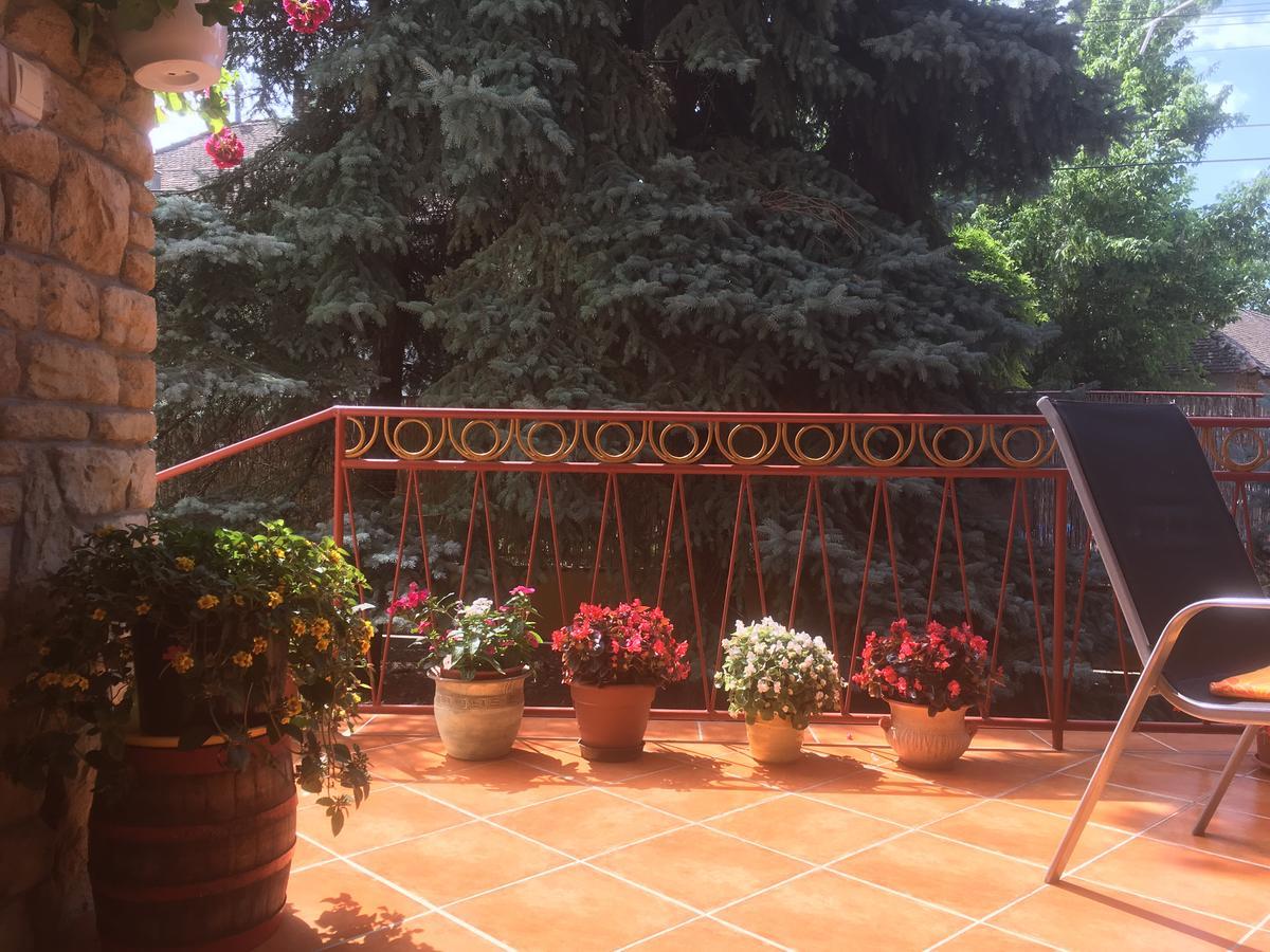 Kurca-Parti Vendeghaz Hotel Szentes Bagian luar foto